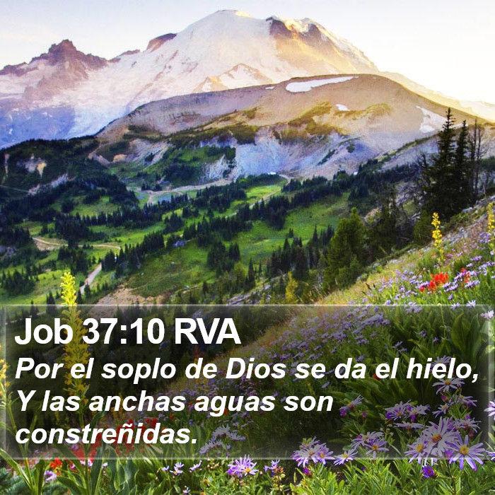 Job 37:10 RVA Bible Study