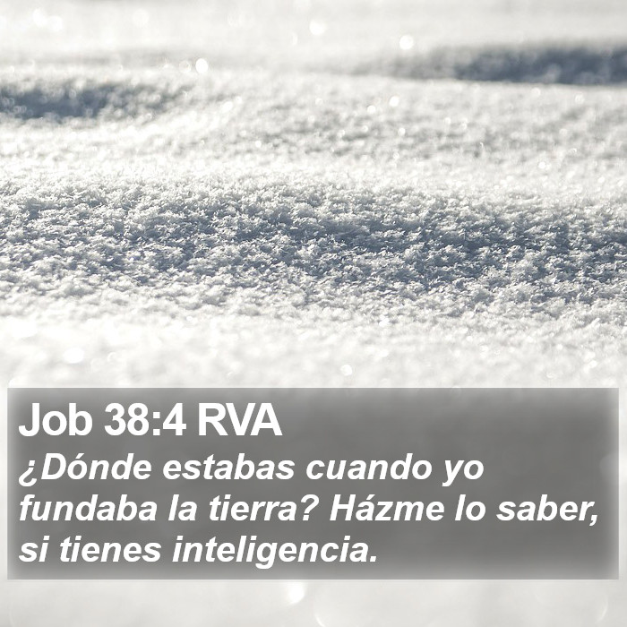 Job 38:4 RVA Bible Study