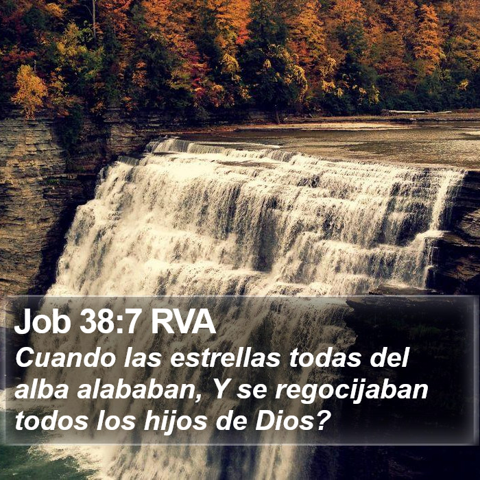 Job 38:7 RVA Bible Study