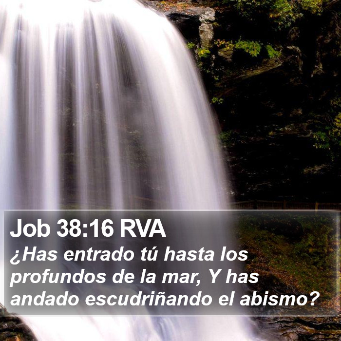 Job 38:16 RVA Bible Study