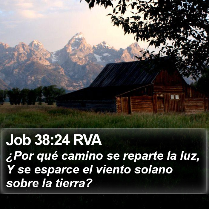 Job 38:24 RVA Bible Study