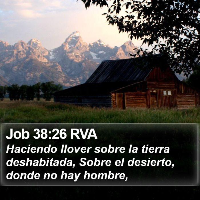 Job 38:26 RVA Bible Study