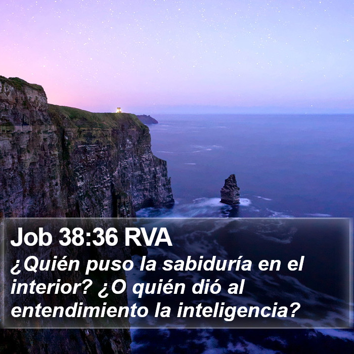 Job 38:36 RVA Bible Study