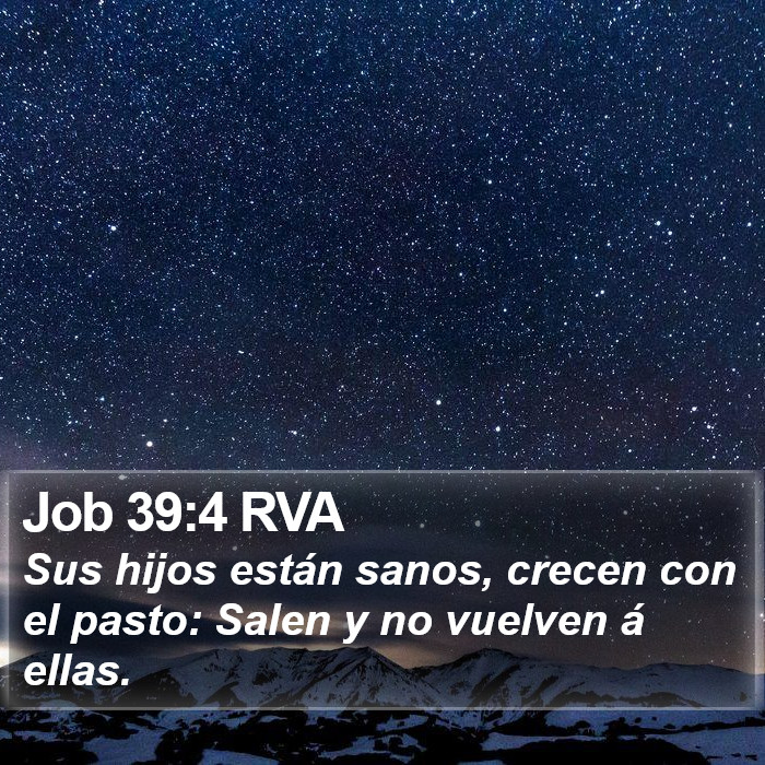 Job 39:4 RVA Bible Study