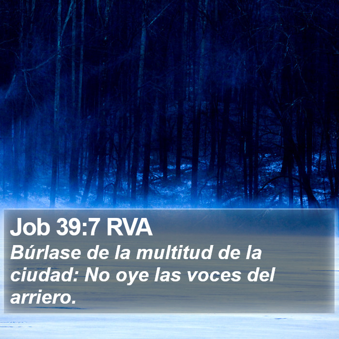 Job 39:7 RVA Bible Study