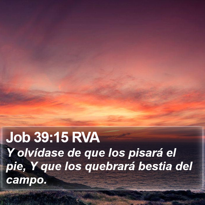 Job 39:15 RVA Bible Study