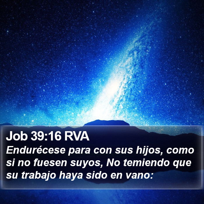 Job 39:16 RVA Bible Study