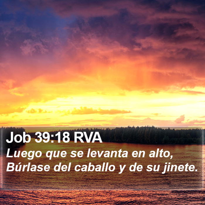 Job 39:18 RVA Bible Study