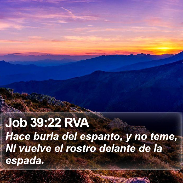 Job 39:22 RVA Bible Study