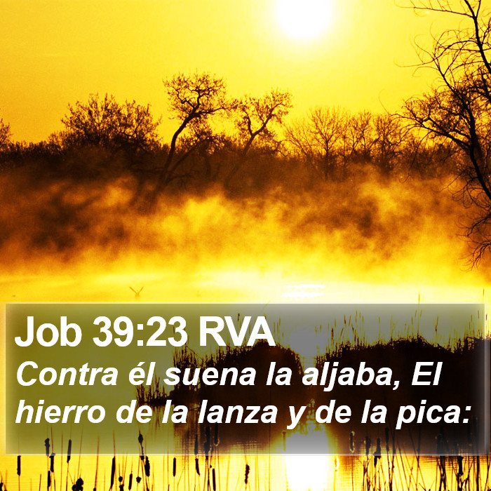 Job 39:23 RVA Bible Study