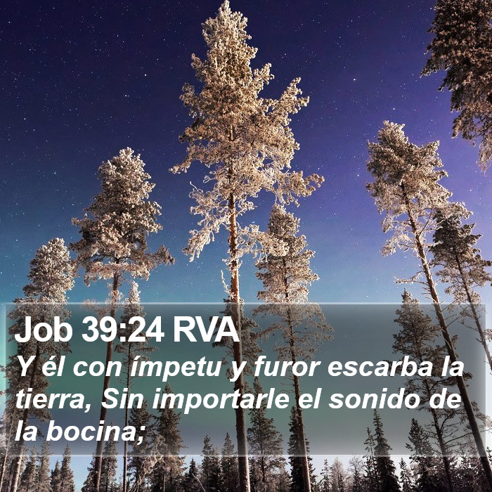 Job 39:24 RVA Bible Study