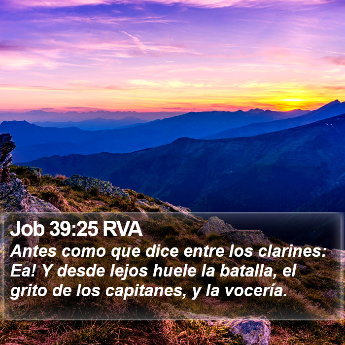 Job 39:25 RVA Bible Study