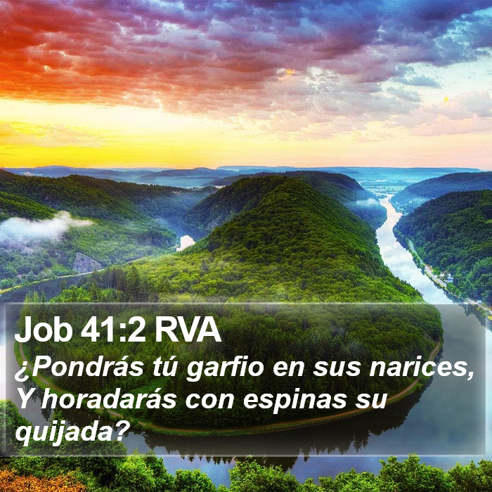 Job 41:2 RVA Bible Study