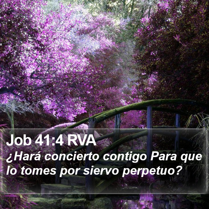 Job 41:4 RVA Bible Study