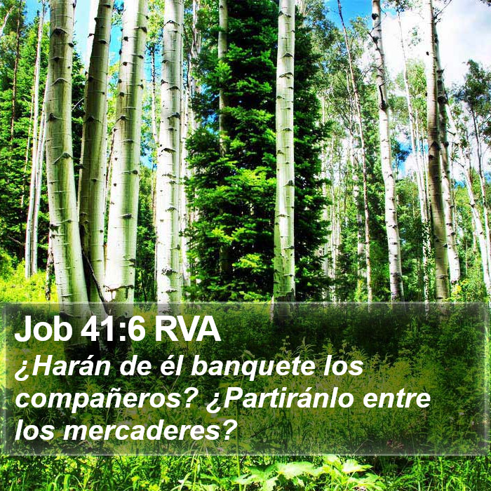 Job 41:6 RVA Bible Study