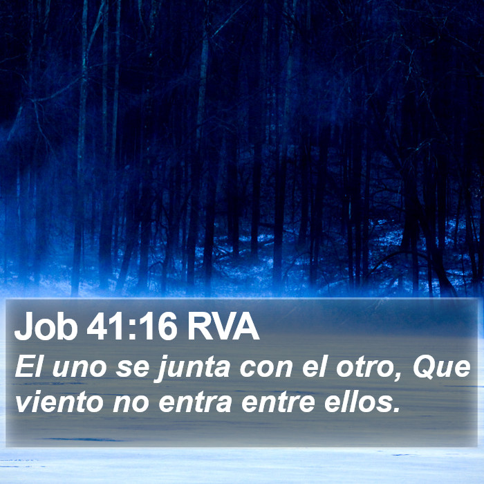 Job 41:16 RVA Bible Study