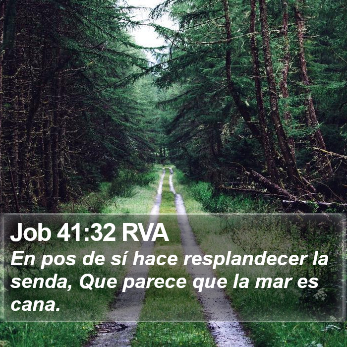 Job 41:32 RVA Bible Study