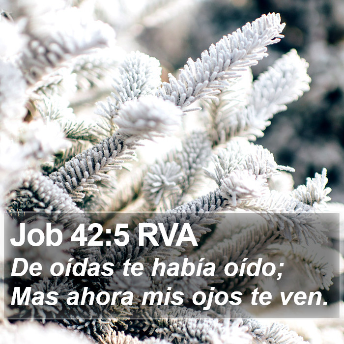 Job 42:5 RVA Bible Study