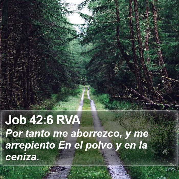 Job 42:6 RVA Bible Study