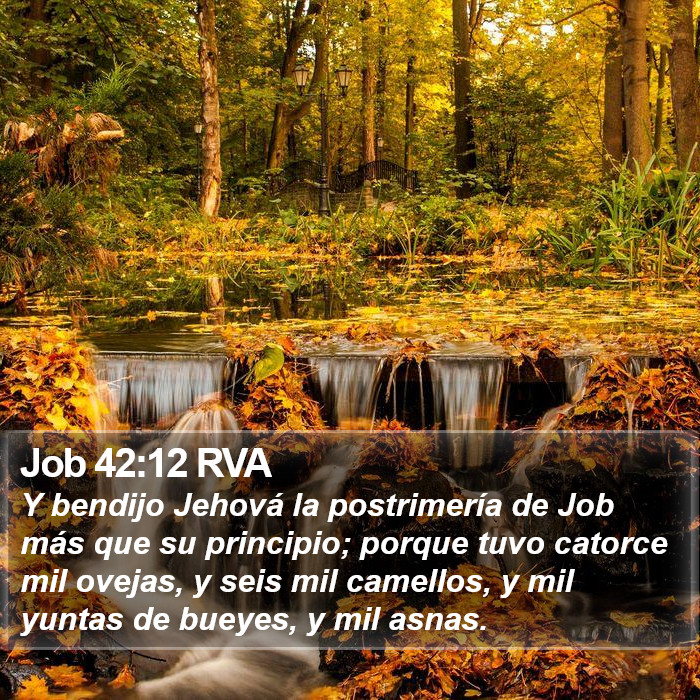 Job 42:12 RVA Bible Study