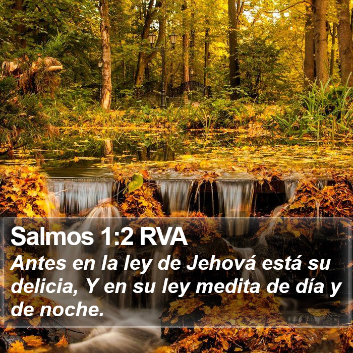 Salmos 1:2 RVA Bible Study