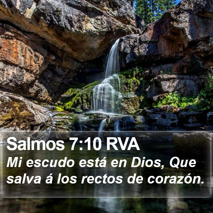 Salmos 7:10 RVA Bible Study