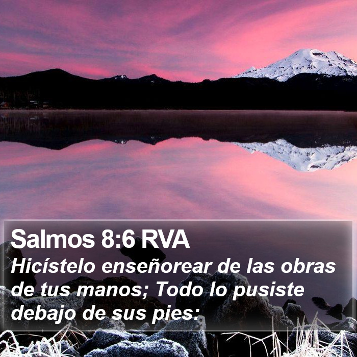 Salmos 8:6 RVA Bible Study