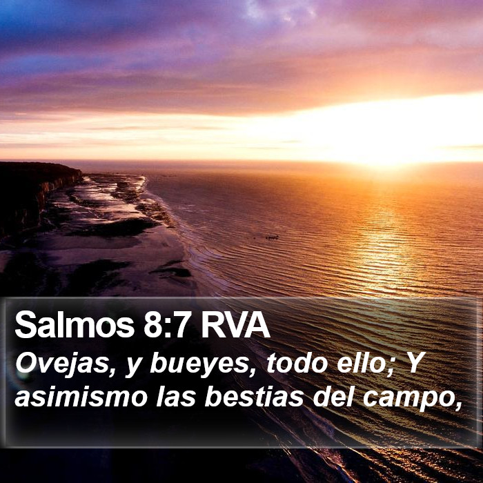 Salmos 8:7 RVA Bible Study