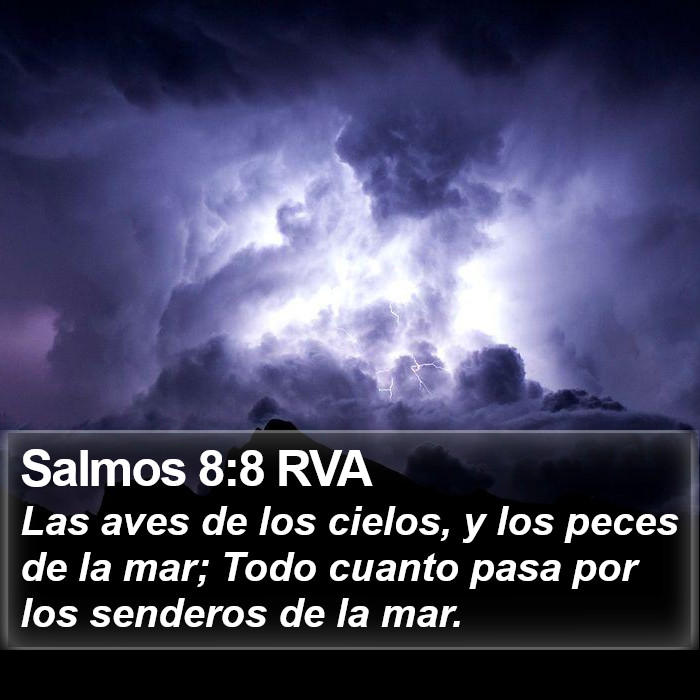 Salmos 8:8 RVA Bible Study