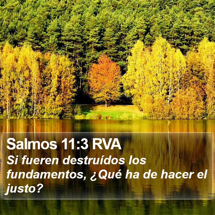 Salmos 11:3 RVA Bible Study
