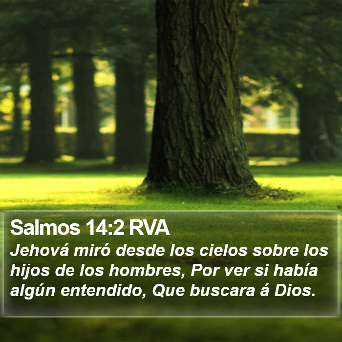 Salmos 14:2 RVA Bible Study