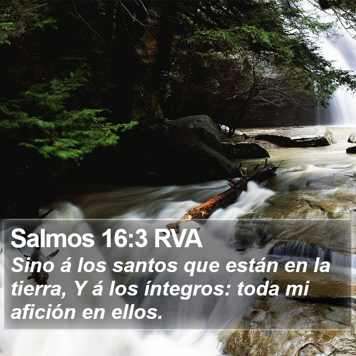 Salmos 16:3 RVA Bible Study