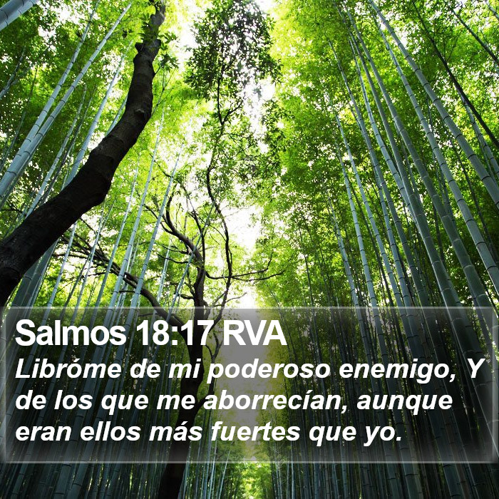 Salmos 18:17 RVA Bible Study