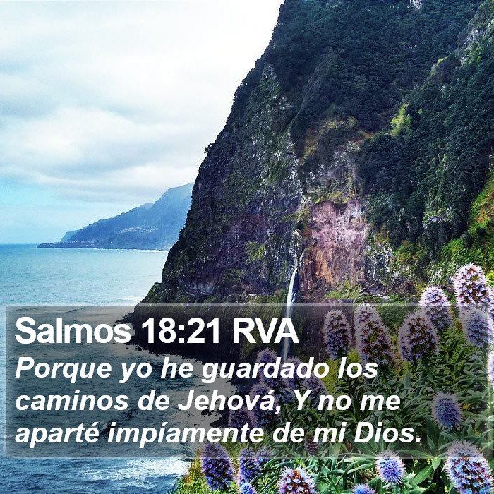 Salmos 18:21 RVA Bible Study