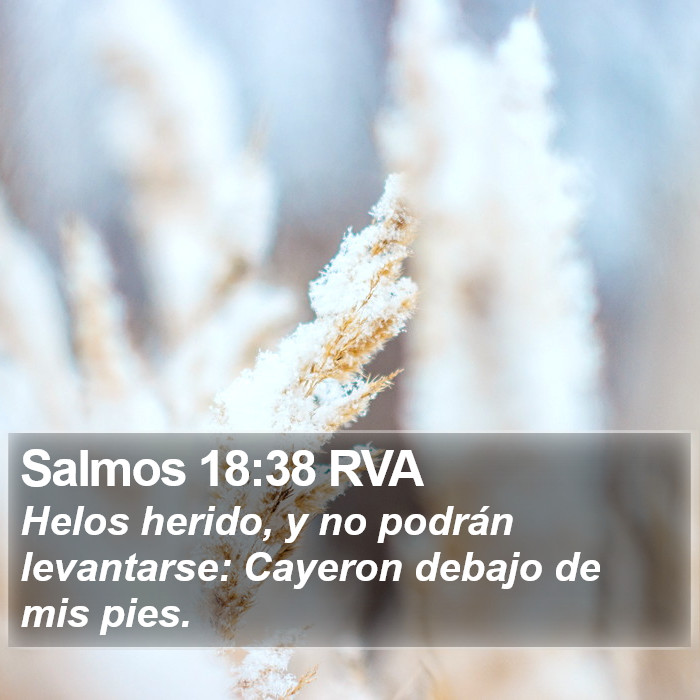 Salmos 18:38 RVA Bible Study