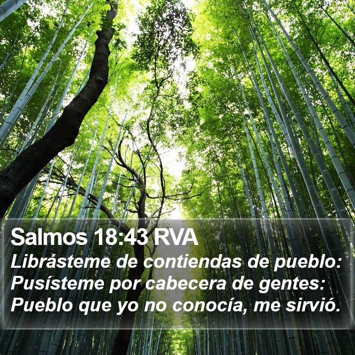 Salmos 18:43 RVA Bible Study