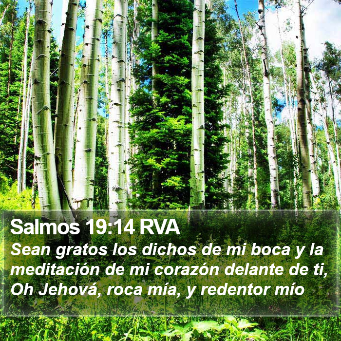 Salmos 19:14 RVA Bible Study