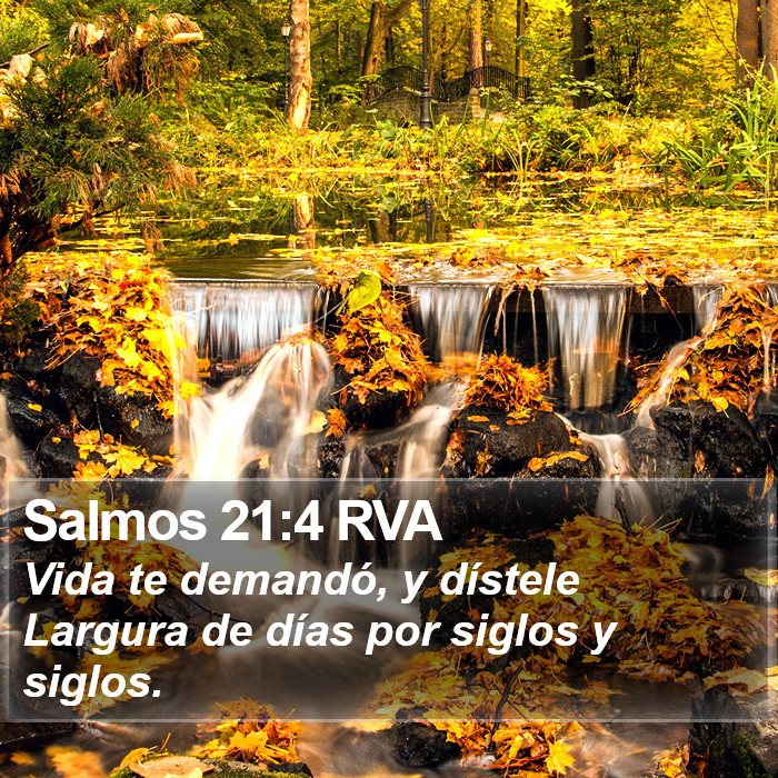 Salmos 21:4 RVA Bible Study