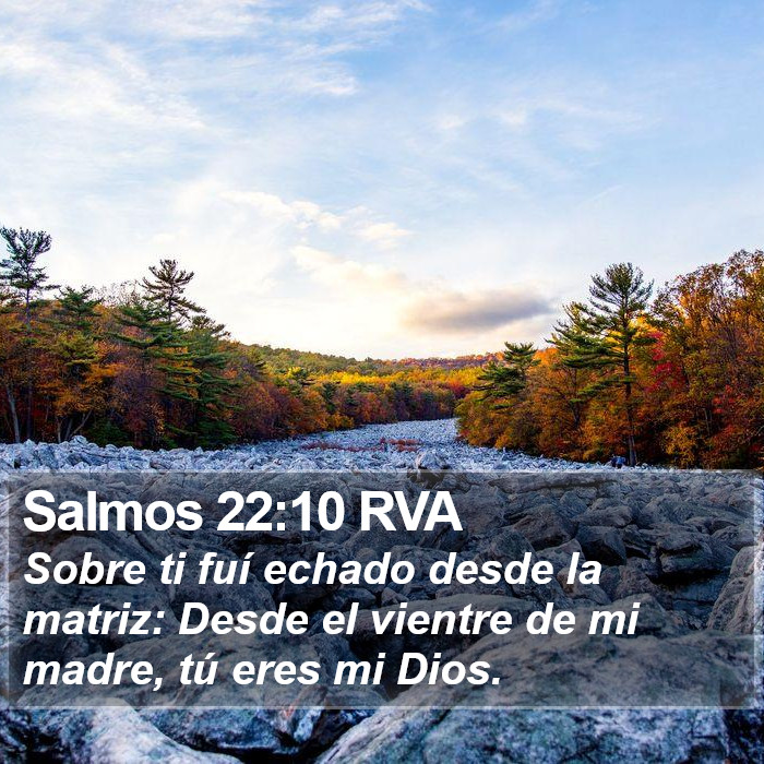 Salmos 22:10 RVA Bible Study