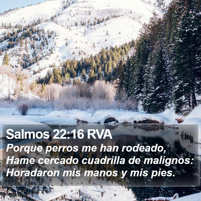 Salmos 22:16 RVA Bible Study