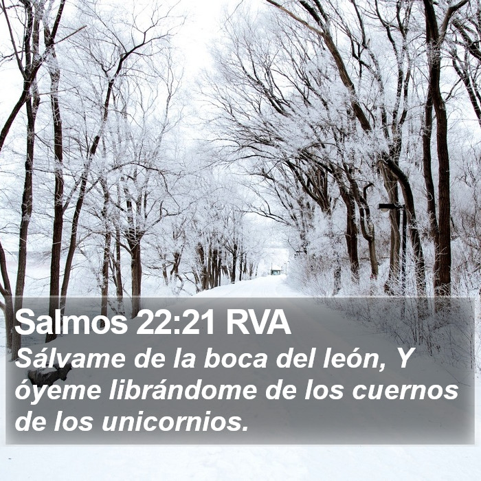 Salmos 22:21 RVA Bible Study