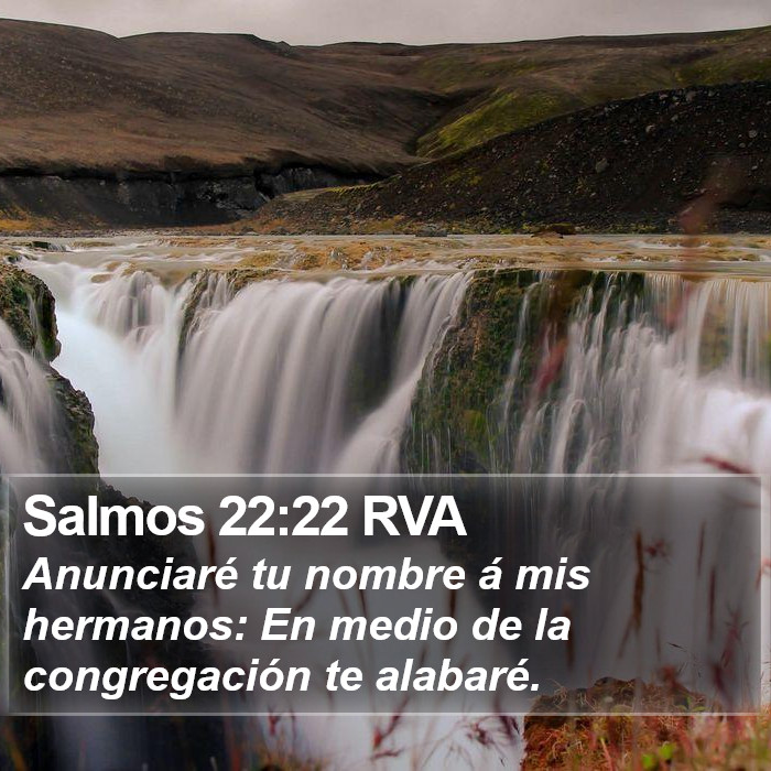 Salmos 22:22 RVA Bible Study