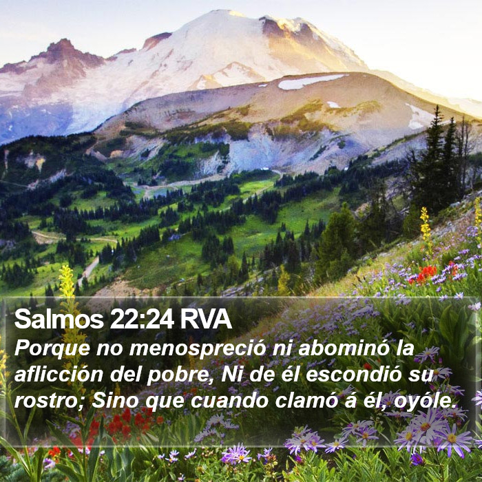 Salmos 22:24 RVA Bible Study