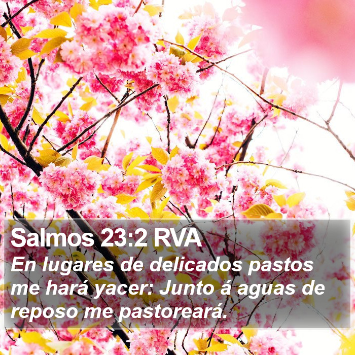 Salmos 23:2 RVA Bible Study