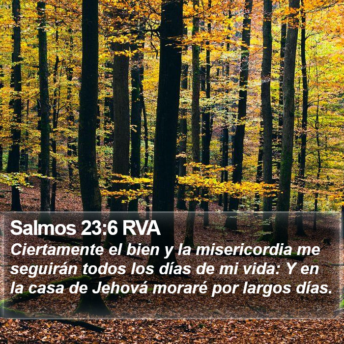 Salmos 23:6 RVA Bible Study