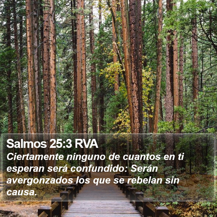 Salmos 25:3 RVA Bible Study