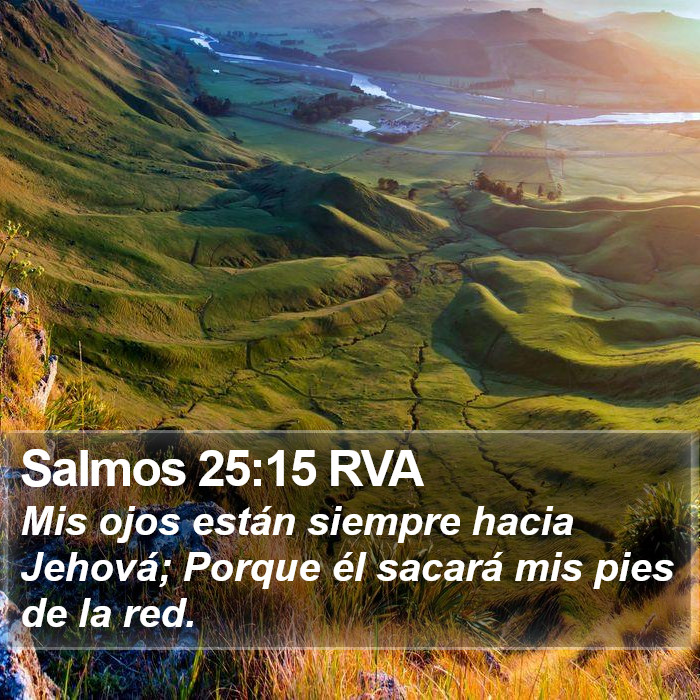 Salmos 25:15 RVA Bible Study