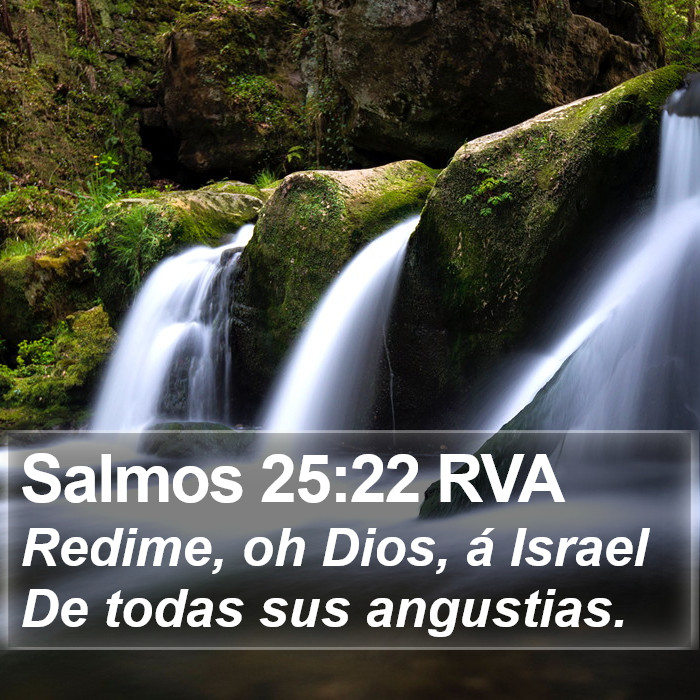 Salmos 25:22 RVA Bible Study