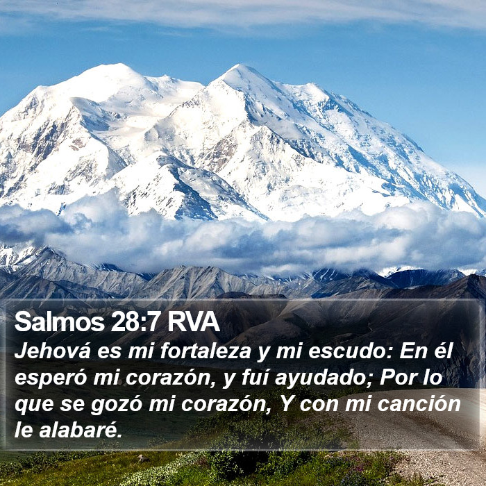 Salmos 28:7 RVA Bible Study