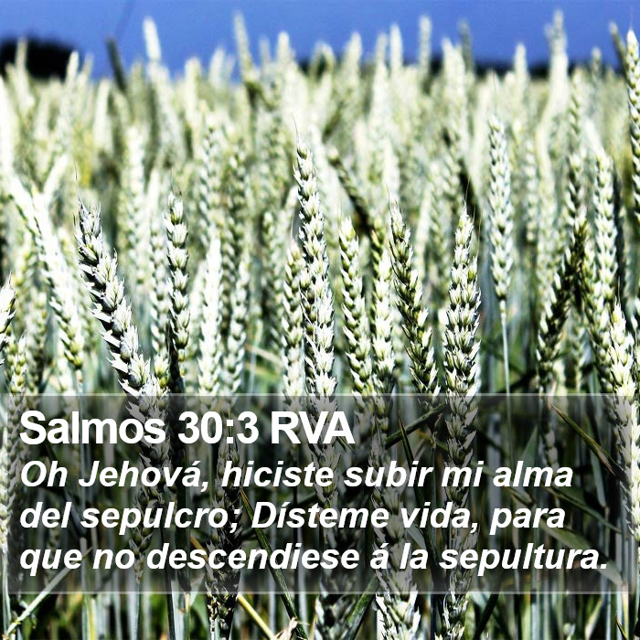 Salmos 30:3 RVA Bible Study